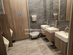 Duo Residences (D7), Shop House #456333241